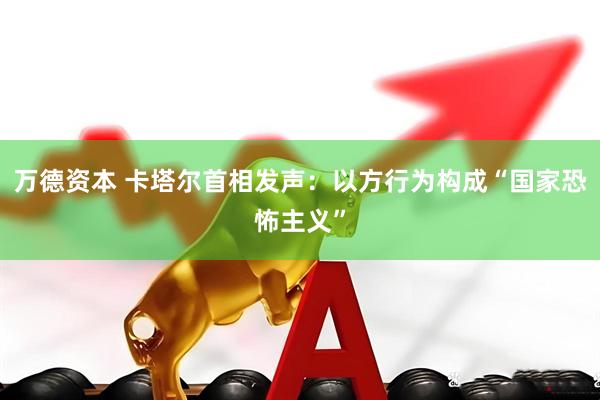 万德资本 卡塔尔首相发声：以方行为构成“国家恐怖主义”